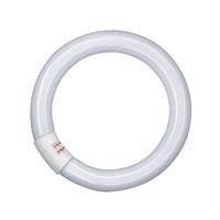 G10q 22W 840 Lumilux T9C fluoreszkáló gyűrű